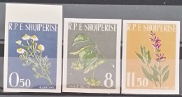 Albania, 1962, Mi: 654/56B (MNH) - Geneeskrachtige Planten