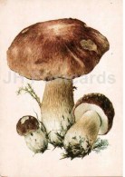 Penny Bun - Boletus Edulis - Mushroom - 1986 - Russia USSR - Unused - Mushrooms