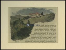 SCHLOSS SOLOTHURN, Kolorierter Holzstich Um 1880 - Lithographies