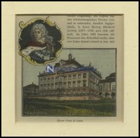 LUDWIGSBURG: Älteres Corps De Logis, Kolorierter Holzstich Um 1880 - Lithographies