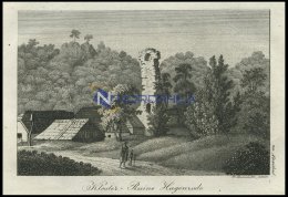 HAGENRODE Bei Alexis-Bad (Selkenbrunnen/Harz): Kloster-Ruine Am Wegesrand, Kupferstich Von F. Rosmäsler Jun. Von 18 - Litografía