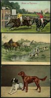 ALTE POSTKARTEN - VARIA Tiere, 3 Verschiedene Ansichtskarten (2x Pferd Und 1x Hund) - Altri & Non Classificati