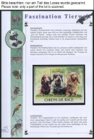 SONSTIGE MOTIVE O, Ca. 1992-96, Faszination Tierwelt, Motiv-Sammlung Im Spezial Falzlosalbum, Pracht - Andere & Zonder Classificatie