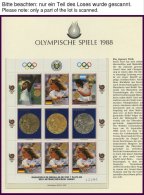 SPORT **,Brief , Sammlung Olympische Spiele 1988 Mit Blocks, Aerogrammen, Maximumkarten, Kleinbogen, Stamp Album Sü - Other & Unclassified