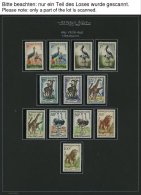 NIGER **, Komplette Postfrische Sammlung Niger Von 1959-74 Mit Vielen Guten Mittle Ausgaben Und Blocks, Sauber Beschrift - Andere & Zonder Classificatie