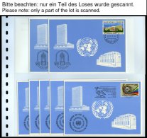 UNO - GENF **,Brief , 1969-78, Postfrisch Komplett, Dazu FDC`s Bis 1981 Sowie Blaue Karten Mit Dubletten, Prachterhaltun - Otros & Sin Clasificación