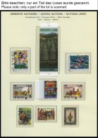 UNO - GENF O, Komplette Gestempelte Sammlung Genf Von 1969-89 Auf Schaubek Falzlosseiten, Prachterhaltung, Mi. 178.70 - Otros & Sin Clasificación