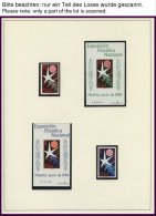 SPANIEN **, Komplette Postfrische Sammlung Spanien Von 1958-81 In 3 Linder Alben, Prachterhaltung - Oblitérés
