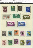 SAMMLUNGEN O, 1946-60, Sauberer Sammlungsteil Mit Vielen Kompletten Ausgaben, Fast Nur Prachterhaltung, Mi. Ca. 800.- - Lotes/Colecciones