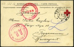 RUSSLAND 1915, Vordruck-Korrespondenzkarte Eines Ungarischen Kriegsgefangenen Aus Dem Russischen Kriegsgefangenenlager T - Used Stamps