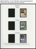 JAHRGÄNGE 2505-2577 O, 2006, Kompletter Jahrgang, Ohne Selbstklebende Marken, Jeweils Aus Der Rechten Unteren Bogen - Used Stamps