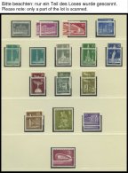 SAMMLUNGEN **, Komplette Postfrische Sammlung Berlin Von 1956-74 Auf Falzlosseiten (Lindner Und Krüger), Text Ab 19 - Colecciones