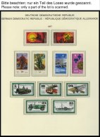 SAMMLUNGEN **, Bis Auf Mi.Nr. 2070-75 Komplette Postfrische Sammlung DDR Von 1975-79 Im Schaubek Falzlosalbum, Prachterh - Colecciones
