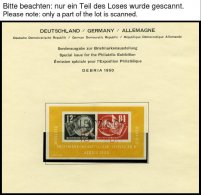 ZUSAMMENDRUCKE O, Gestempelte Sammlung DDR Von 1945-90 In 3 Schaubekalben, Scheinbar Komplett, Die Beiden Ungezähnt - Other & Unclassified