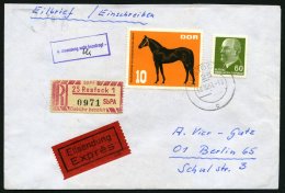 EINSCHREIBEMARKEN 1Cx BRIEF, 1967, 50 Pf. Rosakarmin/schwarz, Gezähnt 121/2, Dickes Papier, PLZ 25-1 Auf Eil-Einsch - Aangetekend