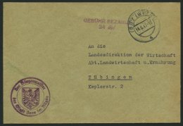 ALL. BES. GEBÜHR BEZAHLT ISNY (WÜRTT), 14.6.47, Violetter L2 GEBÜHR BEZAHLT/ 24 Rpf Brief Feinst - Autres & Non Classés