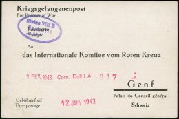 FELDPOST II. WK BELEGE 1943, Kriegsgefangenen-Registrierkarte Des Internationalen Suchdienstes Des Roten Kreuzes In Genf - Ocupación 1938 – 45