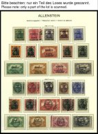 SAMMLUNGEN, LOTS *,o,** , 1920/1, Sammlung Abstimmungsgebiete Mit Mittleren Ausgaben Auf Schaubek Falzlosseiten, Fast Nu - Otros & Sin Clasificación