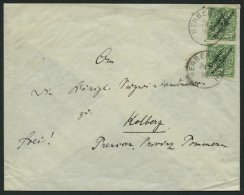 DEUTSCH-NEUGUINEA 2 Paar BRIEF, 1899, 5 Pf. Opalgrün Im Senkrechten Paar Auf Brief Mit Stempel HERBERTSHÖH Nac - German New Guinea