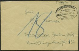 BAHNPOST Hamburg-Husum (Zug 2024) Auf Brief Von 1943 Mit Nachporto, Pracht - Máquinas Franqueo (EMA)