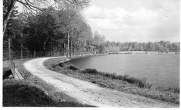 St-Sauveur-en Puisaye. L'Etang Des Barres. - Saint Sauveur En Puisaye