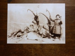Reproduction  Carte Postale Ancienne: IRAN, PERSE: Mas Ud Mirza Zel Os-Soltan's Son Next To Their Kill - Iran