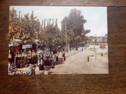 Reproduction  Carte Postale Ancienne: IRAN, PERSE : Celebrations Of Second Anniversary Of The Constitutional Revolution - Iran