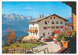 AK Salzburg 5453 Werfenweng Im Pongau Alpengasthof Steinberghof Fuchs Gebirge I. Gasthof Gasthaus Österreich Hans Dankl - Werfen