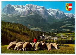 AK Salzburg 5453 Werfenweng Im Pongau Schafherde Schafe Schäfer Sheep Hochkönig Bergwelt-Verlag C. Jurischek Österreich - Werfen