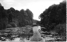 Guéméné-Penfao. Le Paradis. - Guémené-Penfao