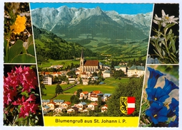 AK Salzburg 5600 St. Johann Im Pongau Blumengruß Tennengebirge Österreich Blumen Sankt Bergwelt-Verlag C. Jurischek I. - St. Johann Im Pongau