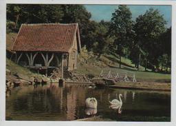 Cpm 809118 Grottes Historiques De Naours Le Moulin à Eau Et Les Cygnes - Naours