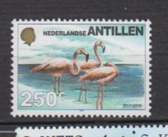 Antilles Néerlandaises YV 1189 N 1999 Flamant - Flamingos