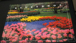 Netherlands Keukenhof Lisses Holland Paper Mill Cards - Used - Lisse