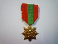 MEDAILLE De La  FAMILLE  - Frankrijk