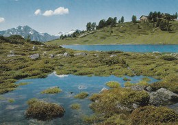 LE PETIT LAC ET RESTAURANT DU TRACUET SUR NENDAZ - Nendaz