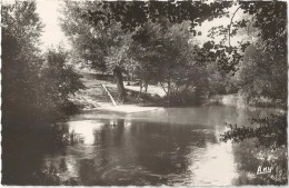 Carces Plage Du Caramy Circulee En 1953 Carte Rare - Carces