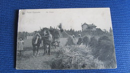 ST GENESIUS RODE UCCLE UKKEL PETITE ESPINETTE BEROEP METIER L1909 - Rhode-St-Genèse - St-Genesius-Rode