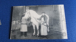 BRASSERIE WIELEMANS CEUPPENS BRUXELLES BRUSSEL METIER BEROEP PAARD CHEVAL L1930 - Straßenhandel Und Kleingewerbe