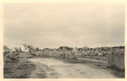 CARNAC (morbihan) -Alignements De Menhirs En 1938; Photo Format 13,5x8,7cm. - Lugares