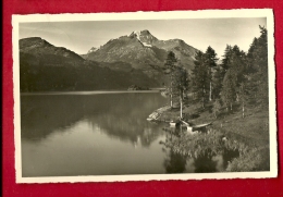 FIR-40  Sils Im Engadin Piz Dela Margna. Gelaufen In 1953 - Sils Im Engadin/Segl