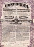 4 Actions De 250 LEI  CONCORDIA Sté Anonyme Roumaine Pour L'Industrie Du Pétrole 1920,1921,1923,1924- 2 Coupons Chacunes - Erdöl