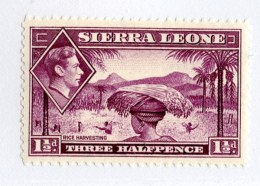 3285 W -theczar- 1941  Sc.175A **  Offers Welcome! - Sierra Leone (...-1960)