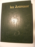 Les Animaux (histoire Naturelle Illustrée) - Livres Anciens