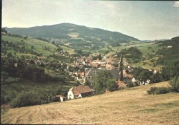 LAPOUTROIE 68 - Vue Générale - EIII 1664 - W-20 - Lapoutroie