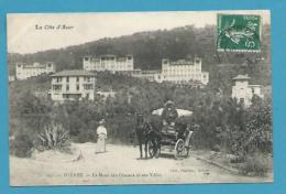 CPA 296 - Circulé Attelage Le Mont Des Oiseaux HYERES 83 - Hyeres