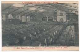 CPA - REIMS (Marne) - Champagne POMMERY & GRENO - Les Caves Pommery à Reims - Une Partie De La Récolte De L'année - Reims