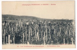 CPA - REIMS (Marne) - Champagne POMMERY & GRENO - Les Vendanges En Champagne - La Cueillette à Avize - Reims