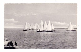 2841 LEMBRUCH, Dümmer - See, Segelregatta - Diepholz