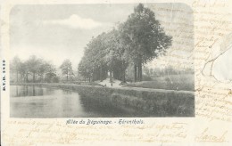 Hérenthals   -   Allée Du Béguinage.  - (kaart Beschadigd - Zie Scan)  1900  Naar  Heist Sur Mer - Herentals